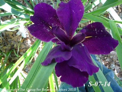 Sdlg-07-14 